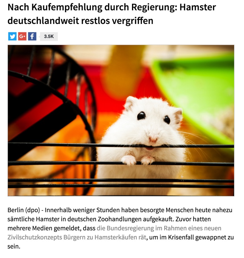 Hamster.jpg