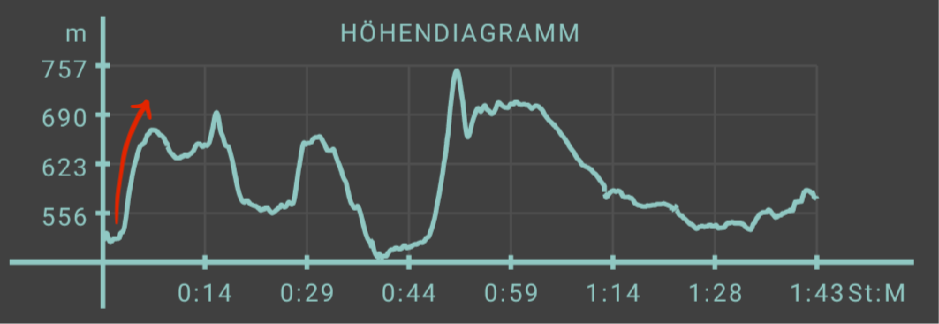 Höhenmeter nach Kaltstart.png